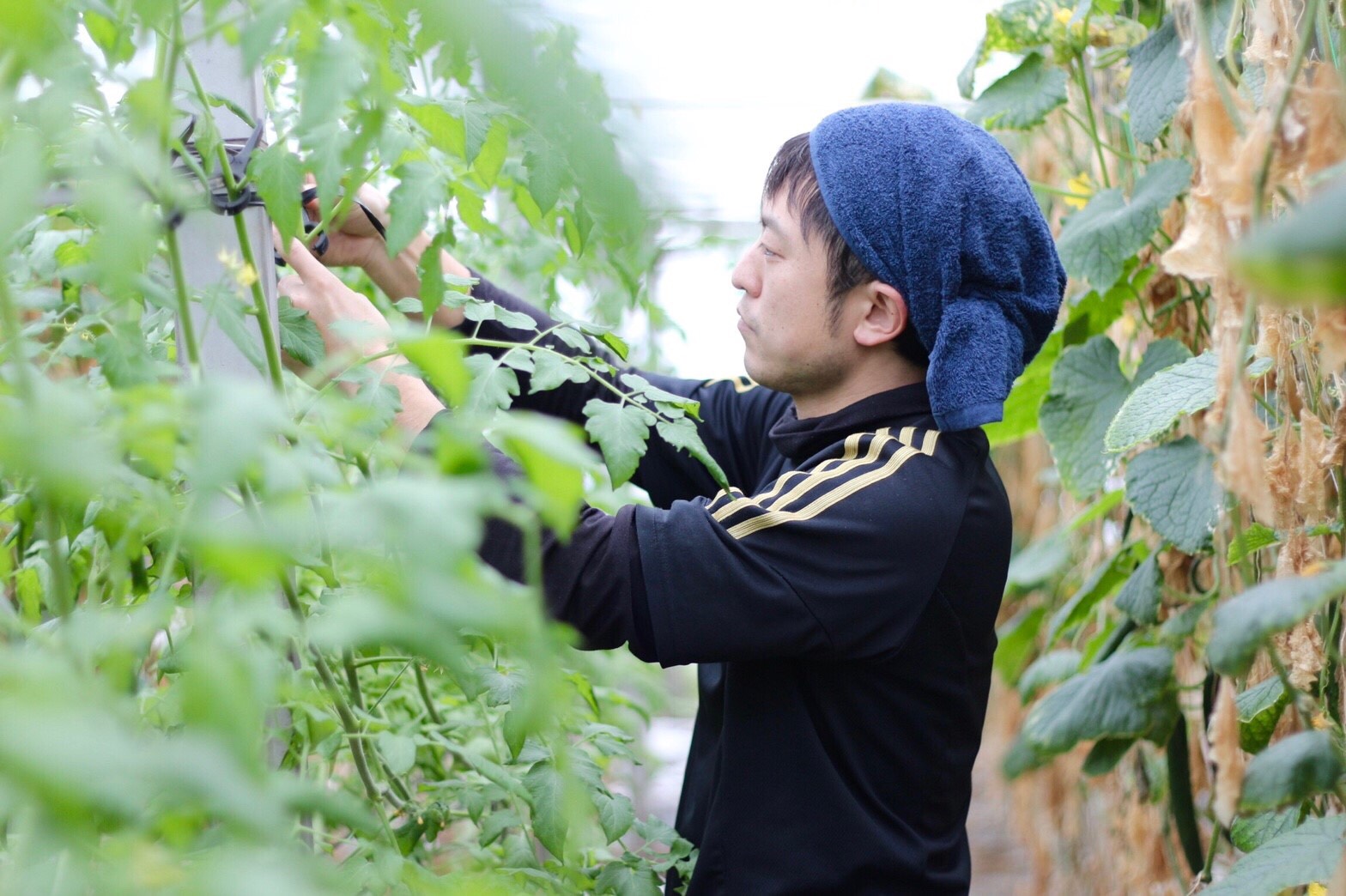 EC02ED00-D344-4ED4-BAF3-3AB2364B6D49