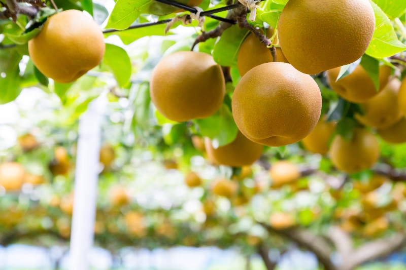 509C73EC-0F94-4925-BBC8-5BFE954A9043