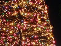 DB004069-0A7F-4C61-99EF-EDB10D20C5D6